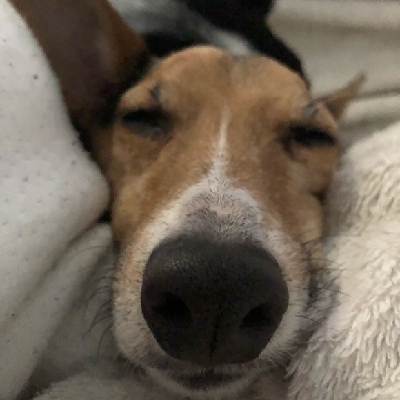 Meet your Posher, Lindsey - Picture 1 of 1